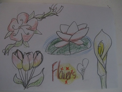 Flower Collection